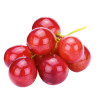 Grape fruit Cell - Moringo Organics